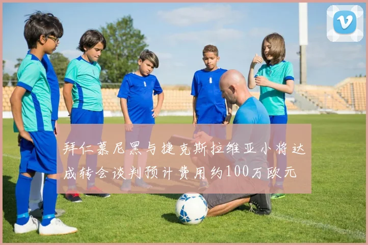 拜仁慕尼黑与捷克斯拉维亚小将达成转会谈判预计费用约100万欧元